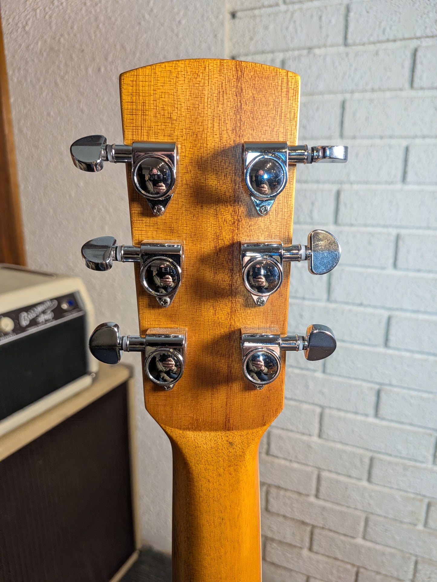 Alabama Single Cutaway Electric Resonator Guitar - Natural