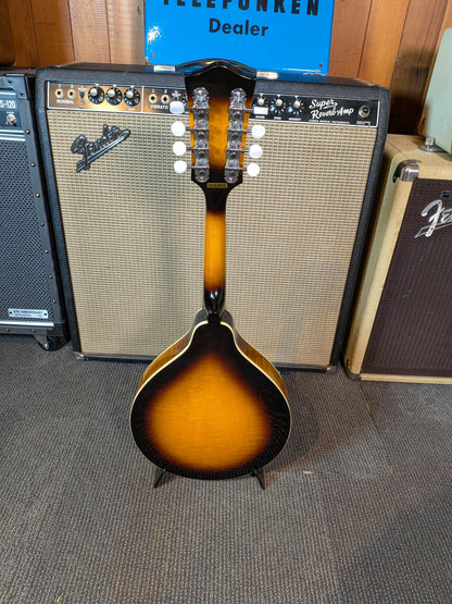 Goldtone GM-50+ Acoustic/Electric A-Style Mandolin w/Case - Tobacco Sunburst