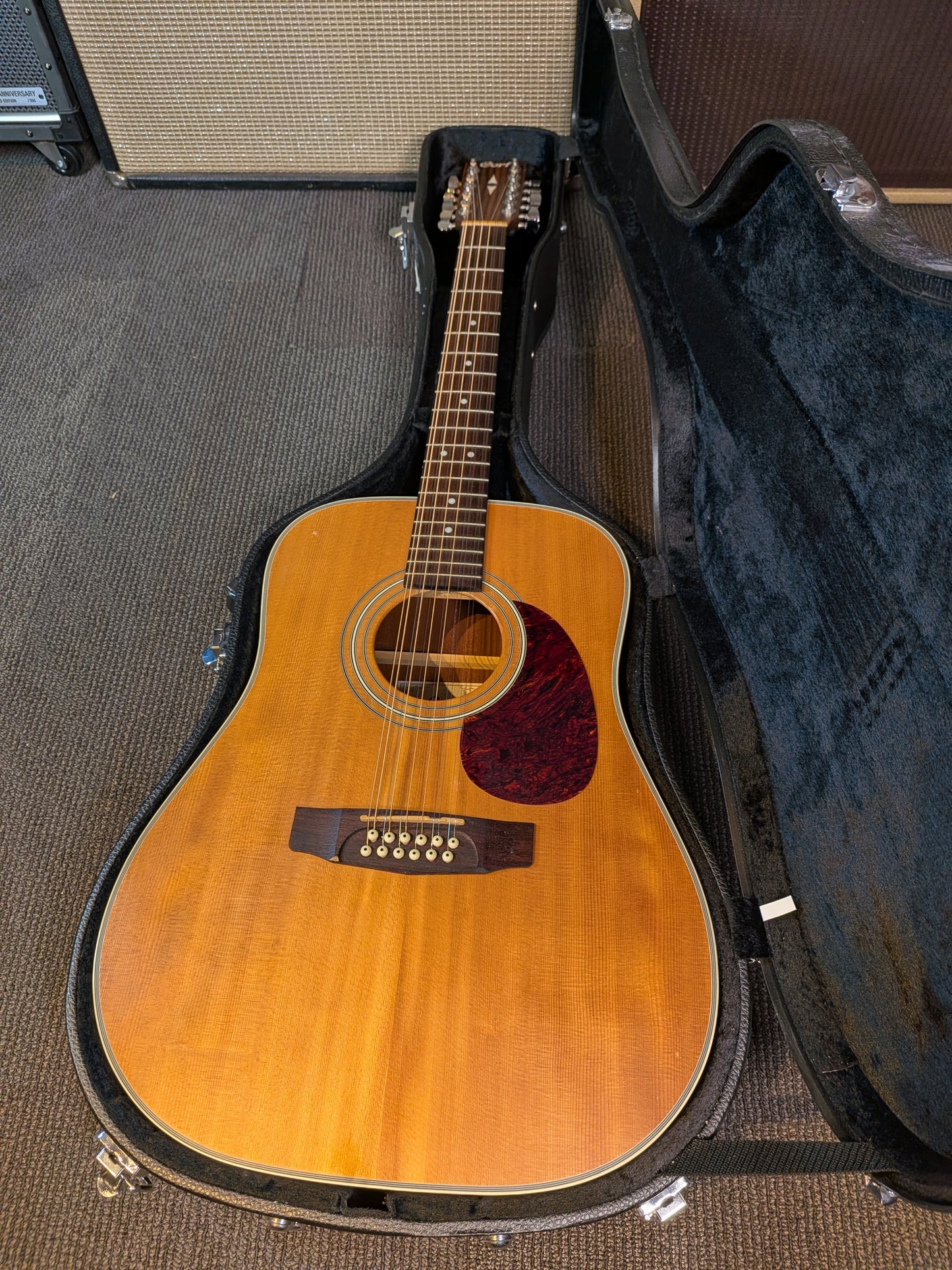 Cort Earth 70E Acoustic/Electric 12 String Guitar w/Case - Natural (Used)