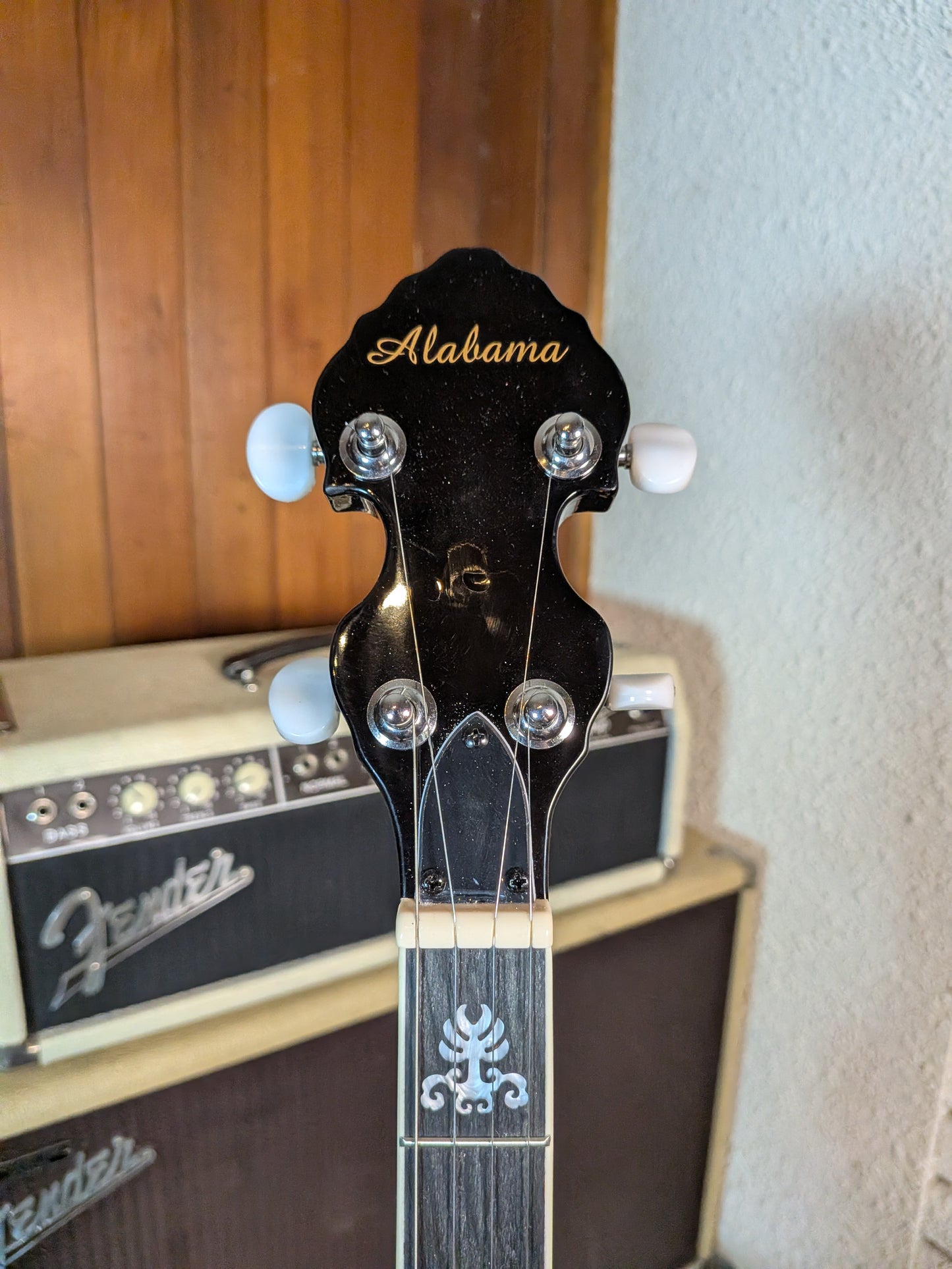 Alabama ALB31 5-String Banjo - Sunburst (Demo)