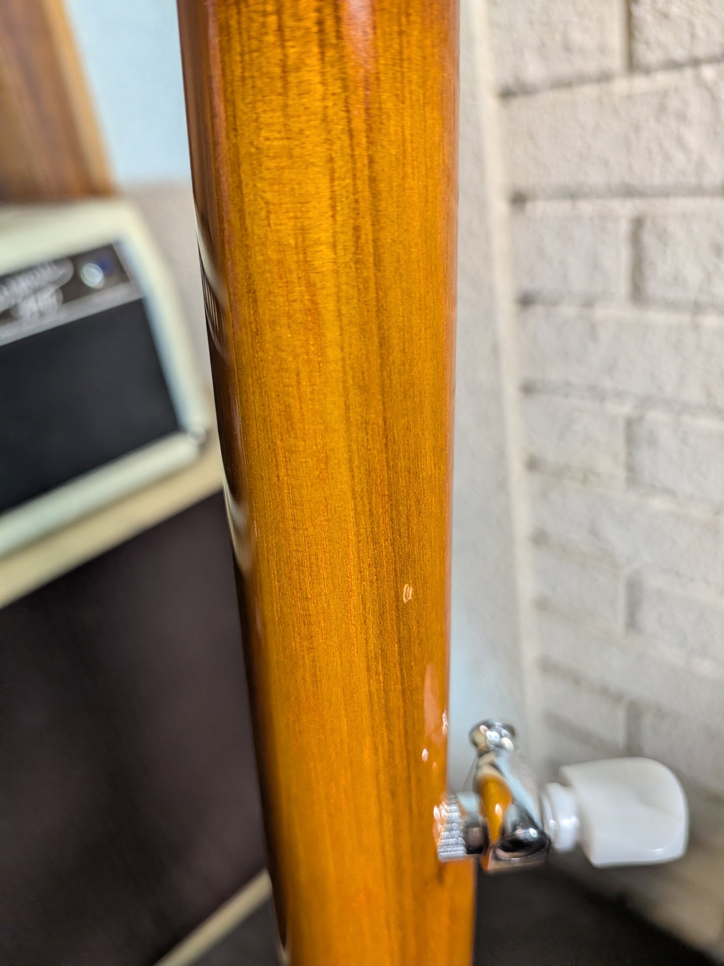 Alabama ALB31 5-String Banjo - Sunburst (Demo)
