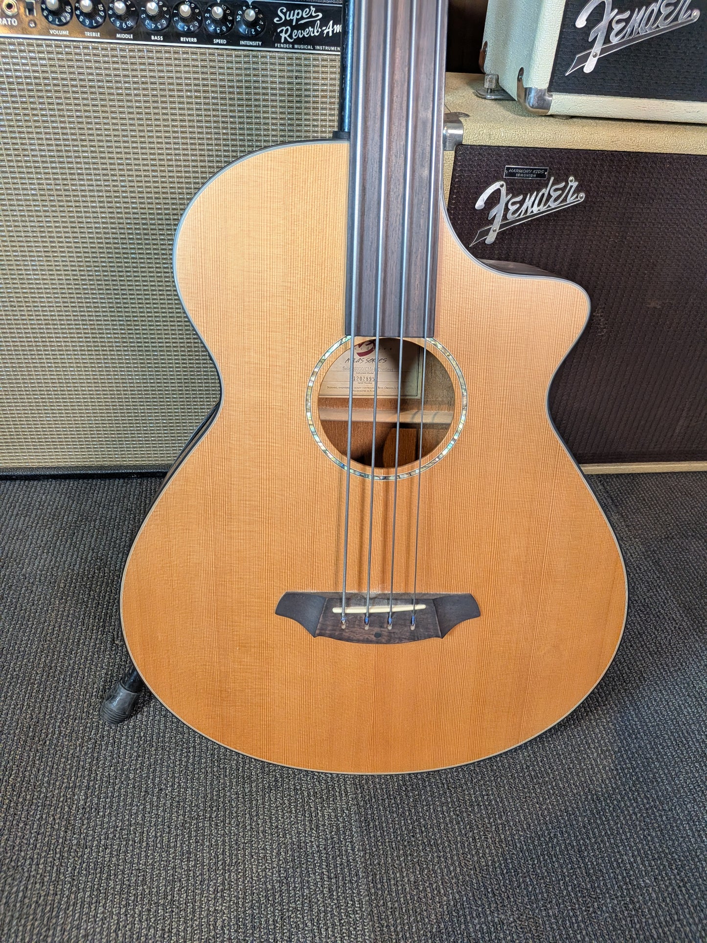 Breedlove Atlas Solo BJ350/CMe4 Fretless Acoustic/Electric Bass w/Case (2012)