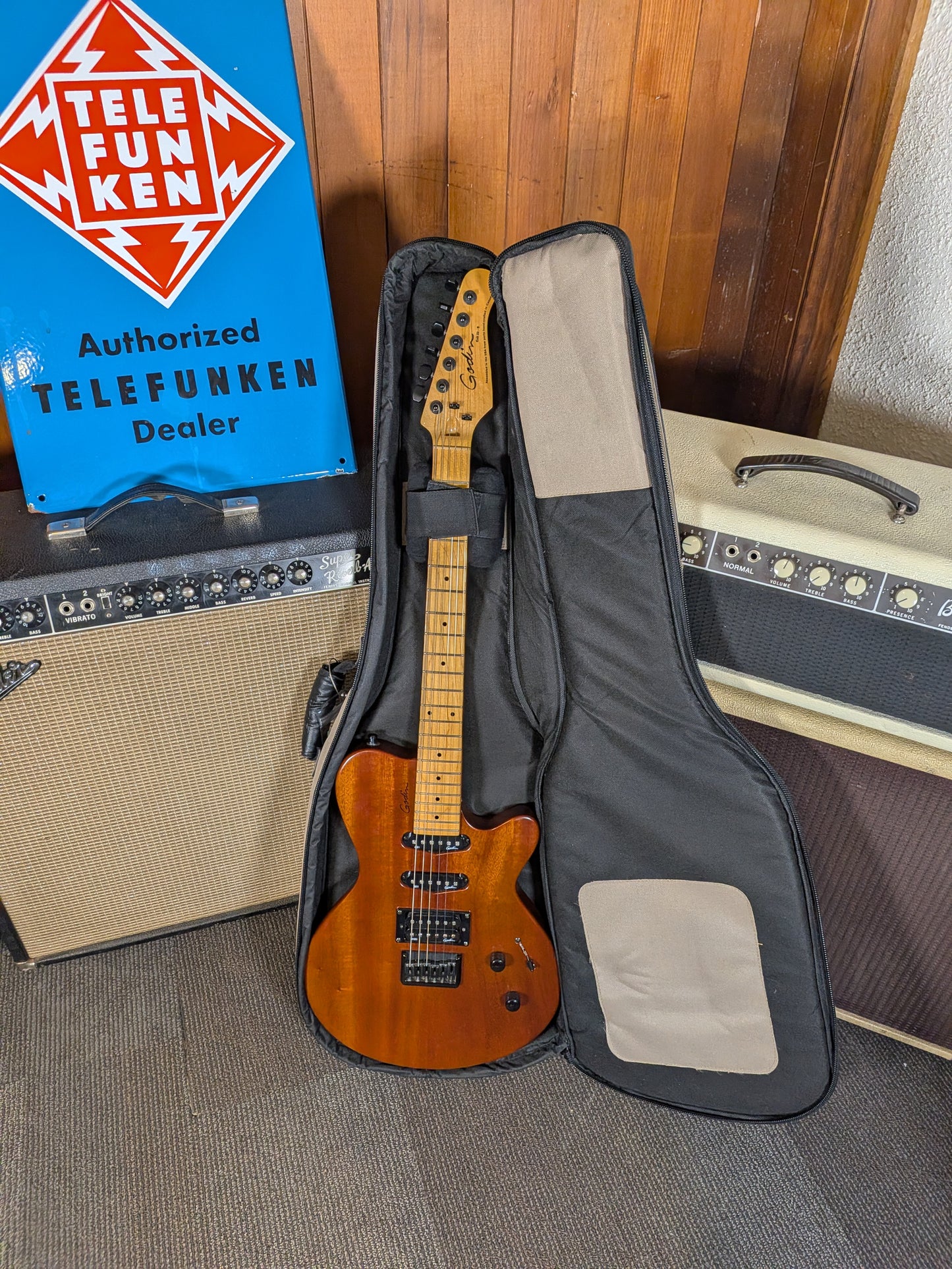 Godin Exit 22-S Electric Guitar w/Gig Bag (Used)