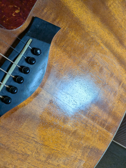 Taylor GS Mini Mahogany Top Acoustic/Electric Guitar w/Case (2016)