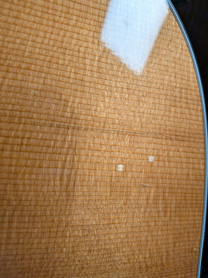 Taylor 710 Dreadnought Acoustic/Electric Guitar w/Case (1996)