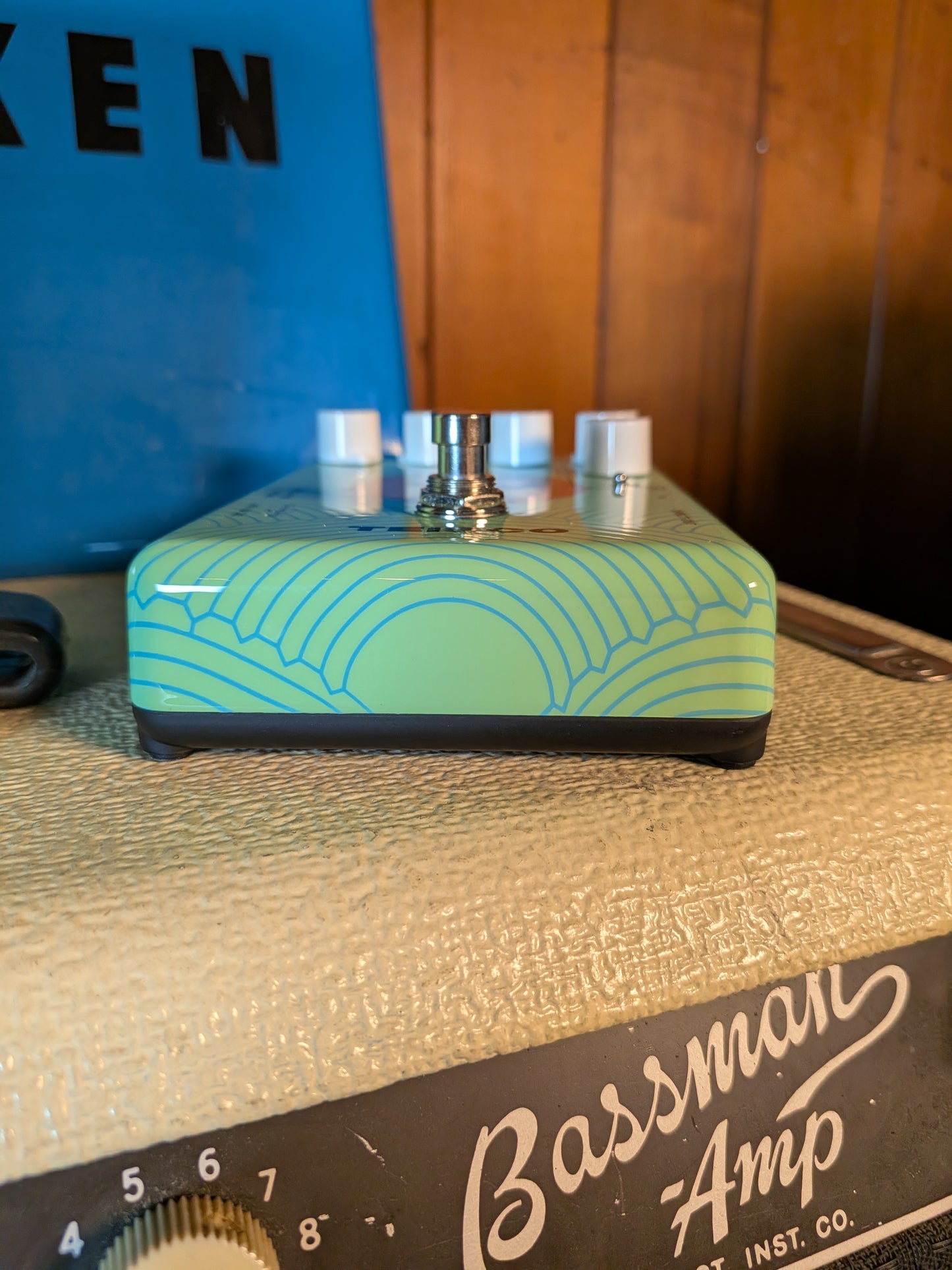 Teisco Delay Pedal (Store Demo)