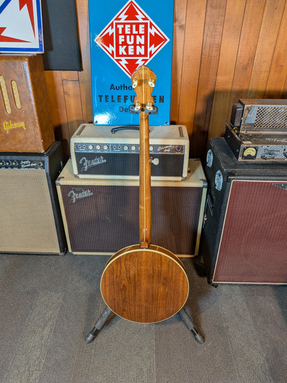Fender FB-59 5-String Electric/Acoustic Resonator Banjo w/Case (2007)