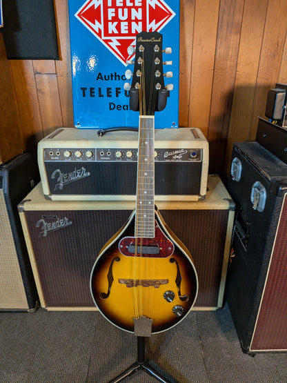 Beaver Creek BCMM201E Acoustic/Electric A-Style Mandolin w/Gig Bag - Sunburst