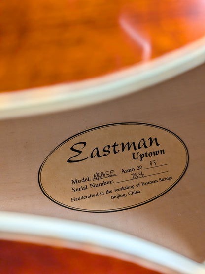 Eastman AR805E Hollow Body Arch Top Electric Guitar w/Case - Classic Finish (2005)