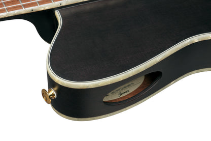 Ibanez TOD10N Tim Henson Signature Acoustic/Electric Nylon String Guitar - Transparent Black Flat