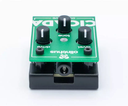 Olinthus Cicada Mini Overdrive Pedal