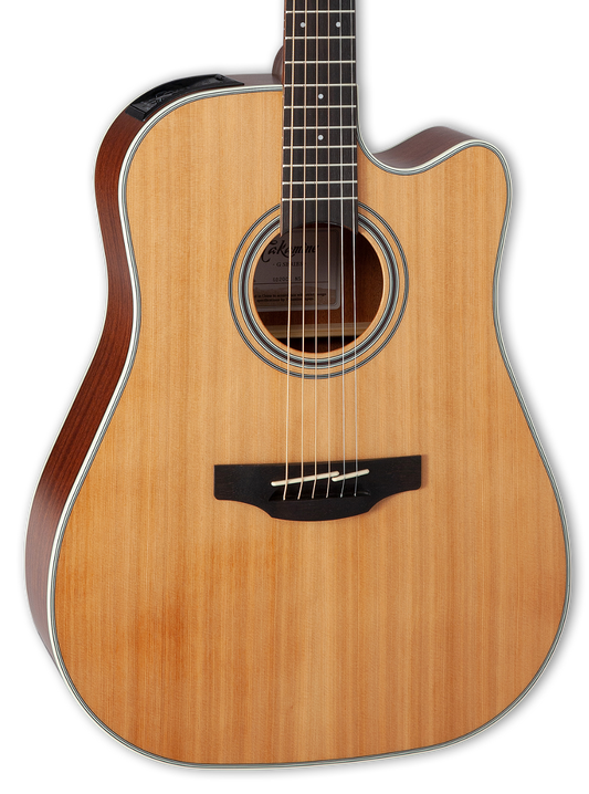 Takamine GD20CE-NS Dreadnought Acoustic/Electric Guitar - Natural Satin