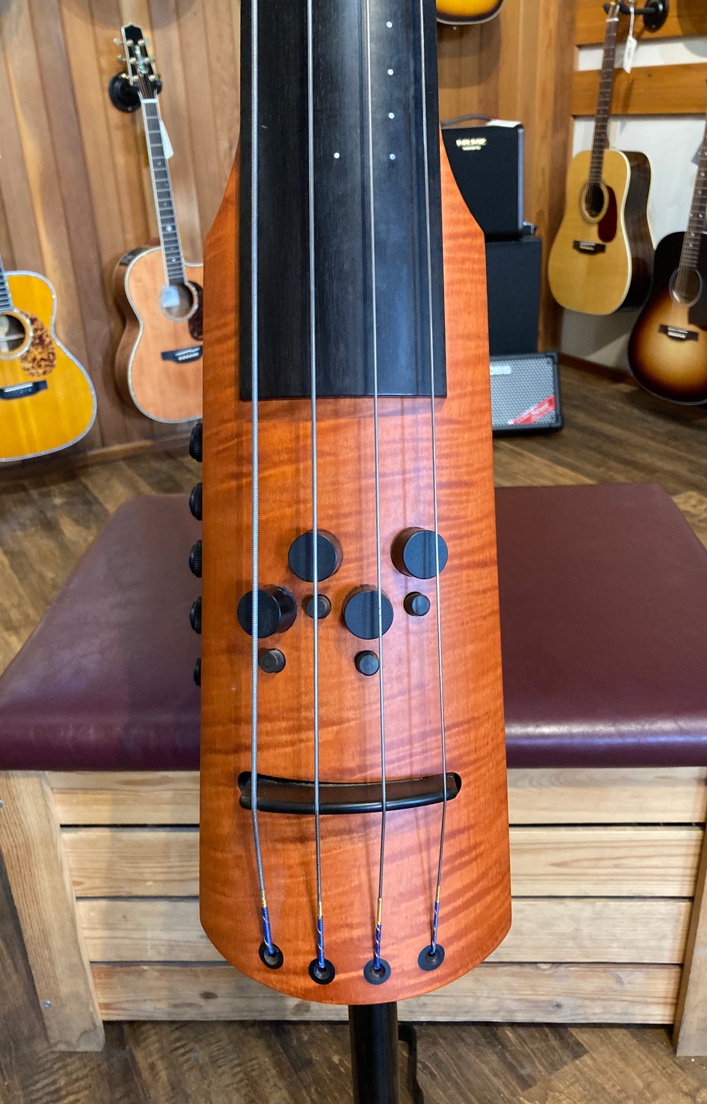 NS Design CR4M Electric Upright Bass (Used)