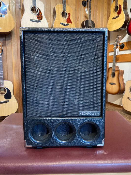 Phil Jones BG-300 (Used)