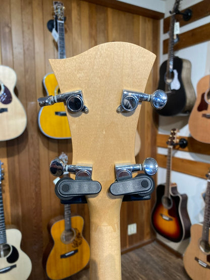 Deering Goodtime 2 (Used)
