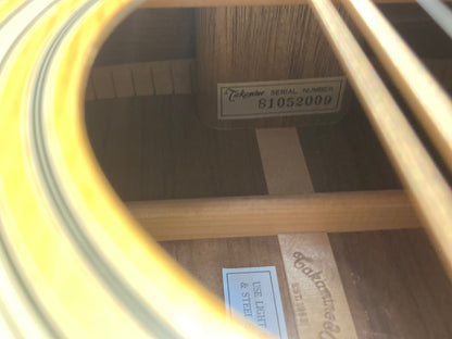 Takamine F-400 12-String Acoustic Guitar (1981)