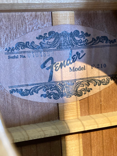 Fender F-210 (Used)
