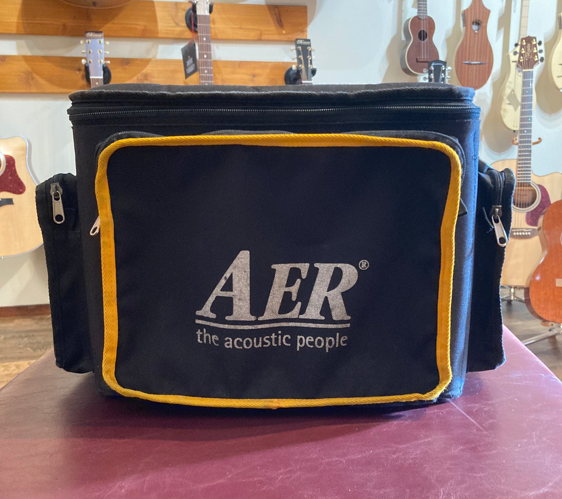 AER Compact 60/2 (Used) – Acoustic Music Shop AER Compact 60/2 (Used) – Acoustic Music Shop