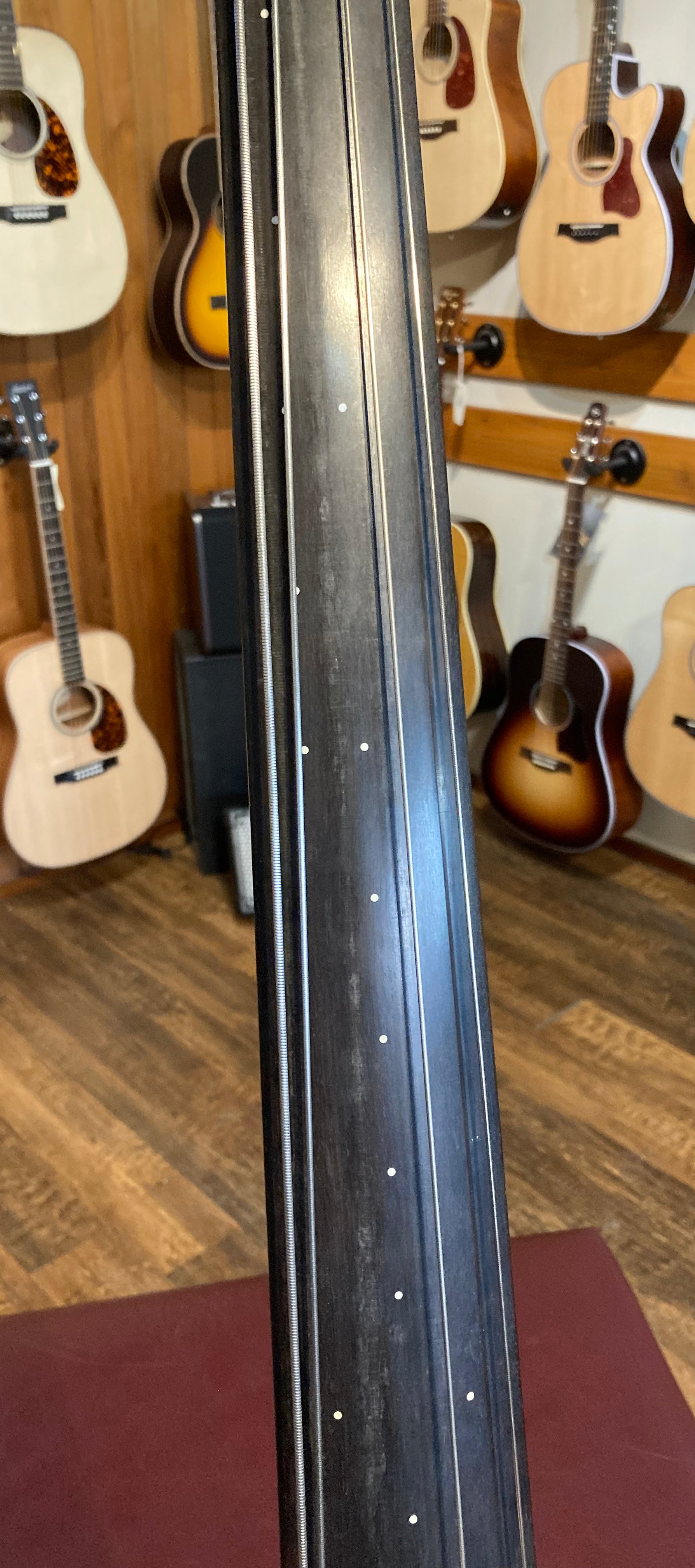 Ergo electric upright shop bass