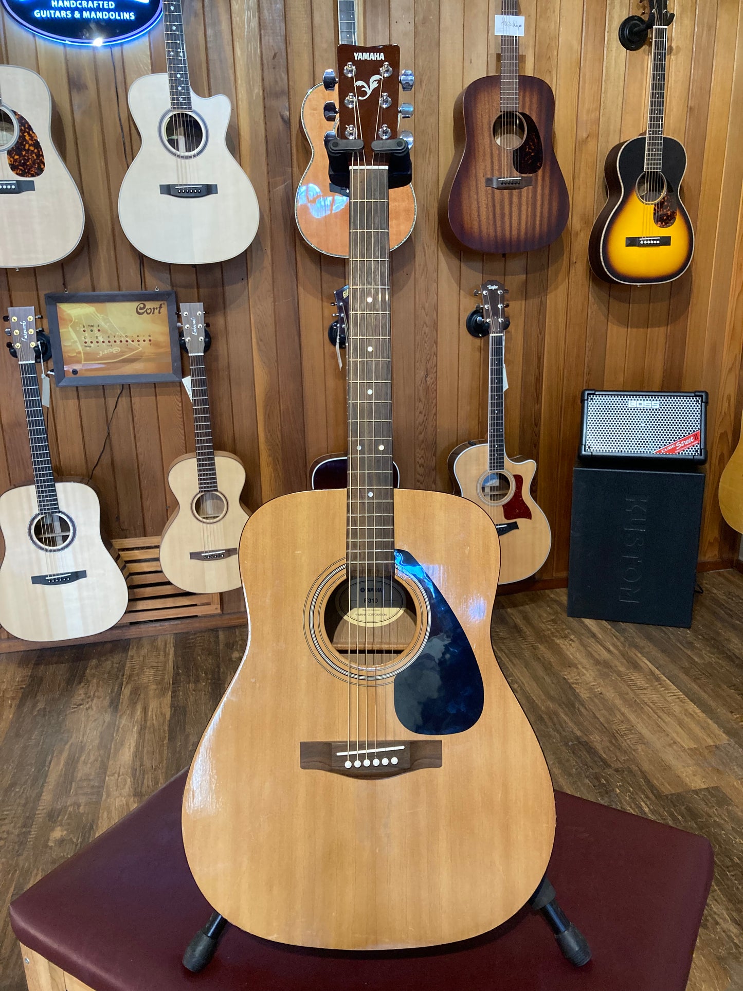Yamaha F310 (Used)