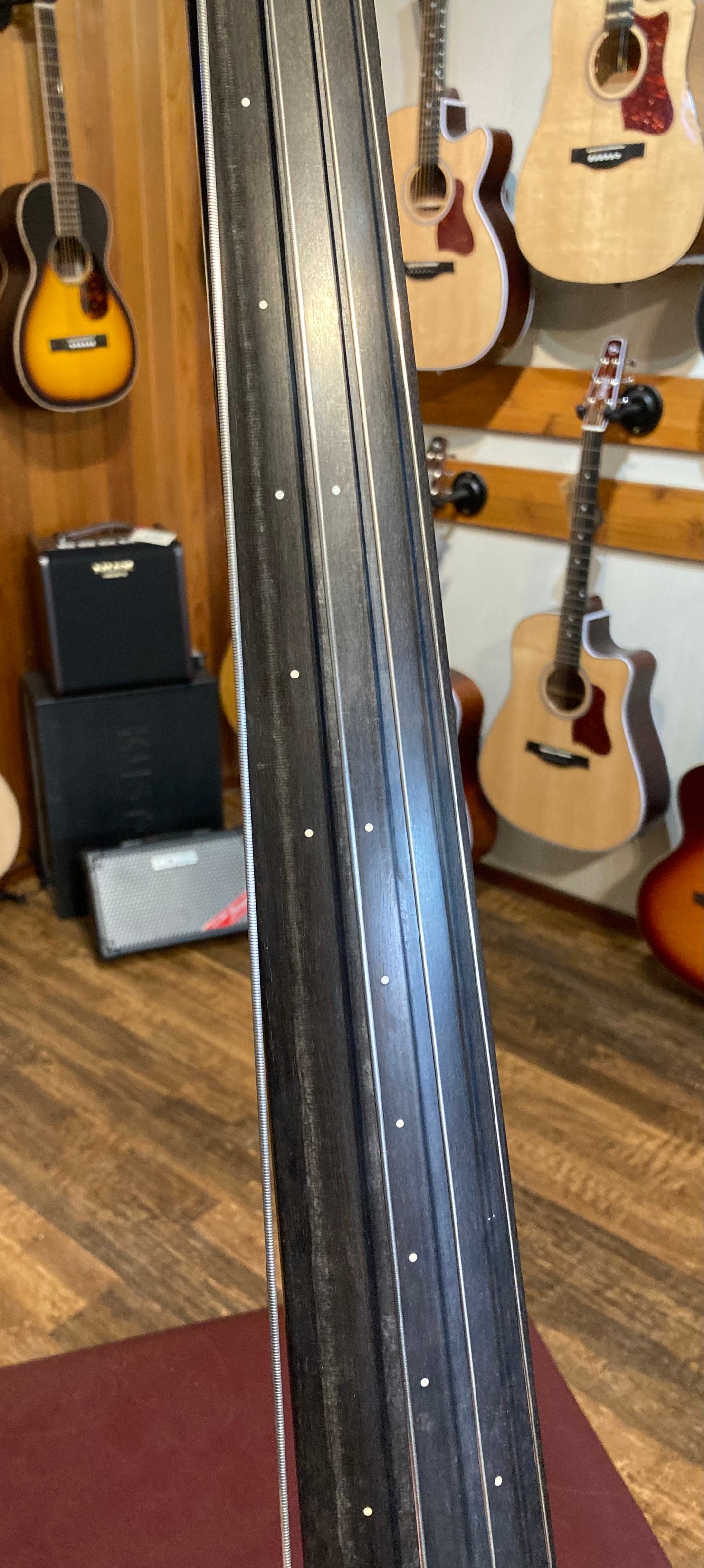 NS Design CR4M Electric Upright Bass (Used)