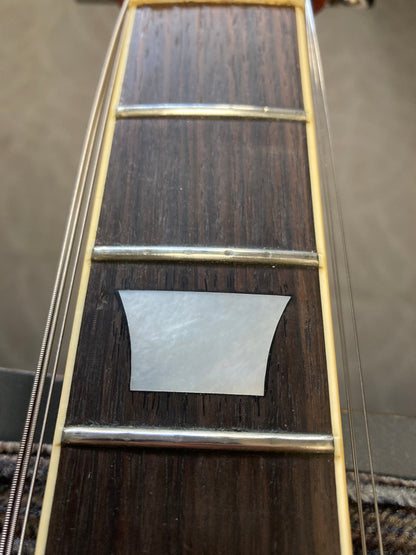 Aria Pro II LP Standard (late 70's)
