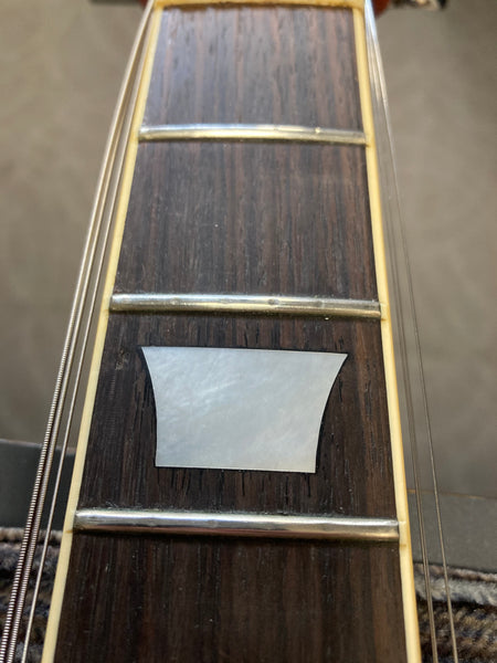 Aria Pro II LP Standard (late 70's)