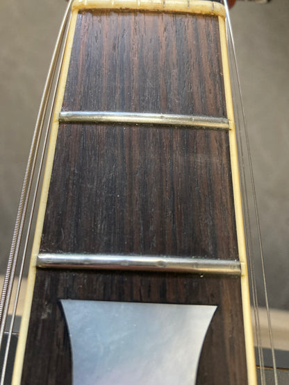 Aria Pro II LP Standard (late 70's)