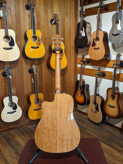 Norman ST40 CW Natural HG Element SF w/ Gigbag