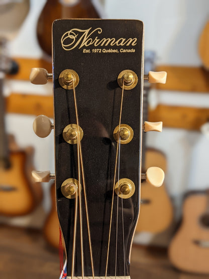 Norman ST40 CW Natural HG Element SF w/ Gigbag