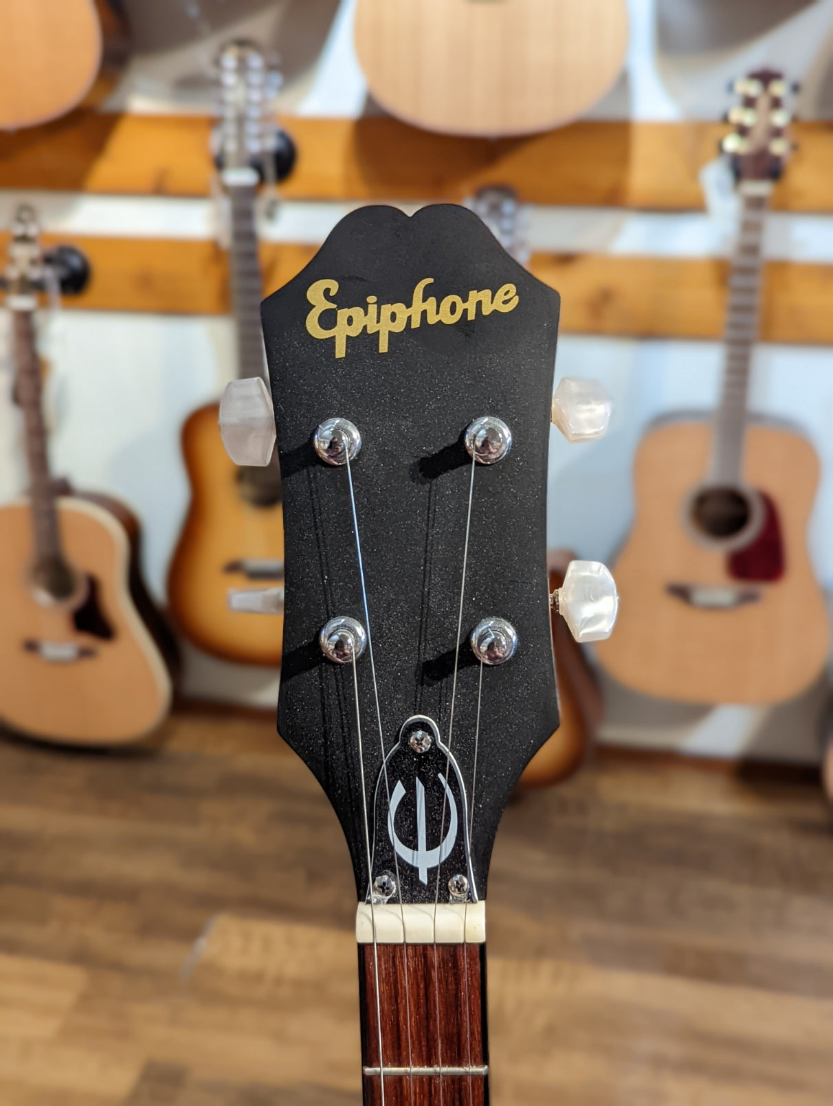 Epiphone MB-100 5 String Banjo (Used)