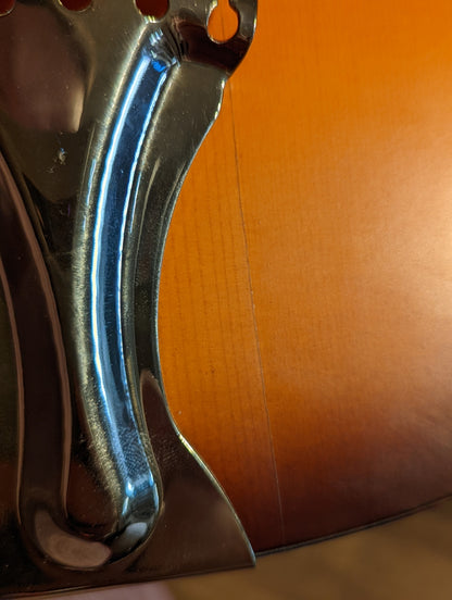 Recording King JTE Justin Townes Earle Signature Guitar w/Case (Used)