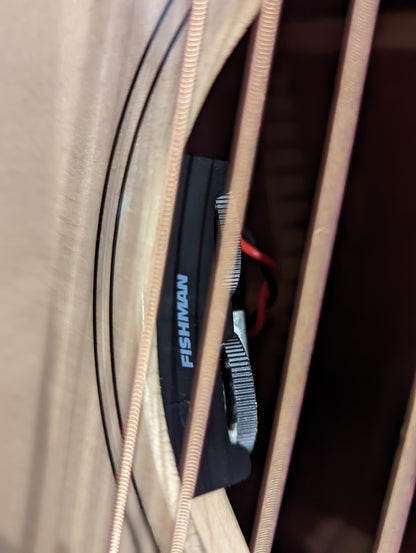 Godin Rialto Natural RN GT EQ SF