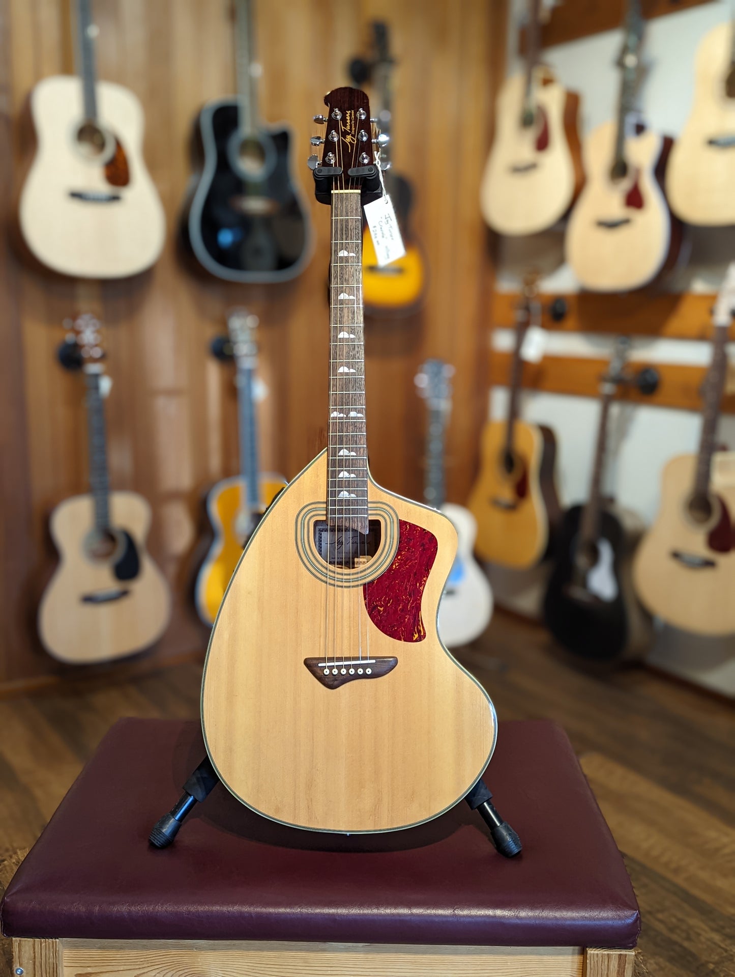 Jay Turser JTA-CRA-6S Craviola Acoustic/Electric Guitar w/Gig Bag (Used)
