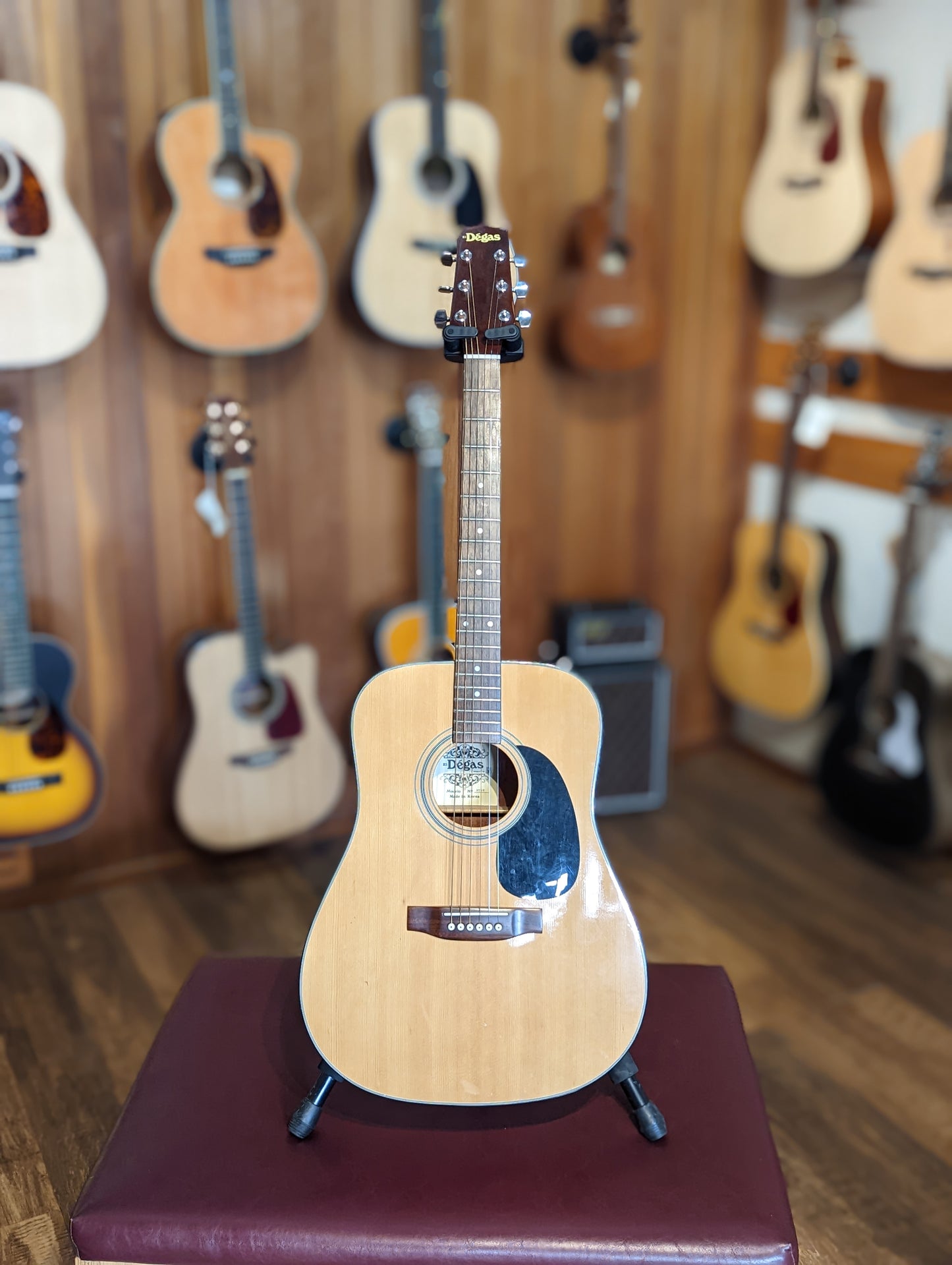 El Degas MT4N Acoustic Guitar w/Case (Used)