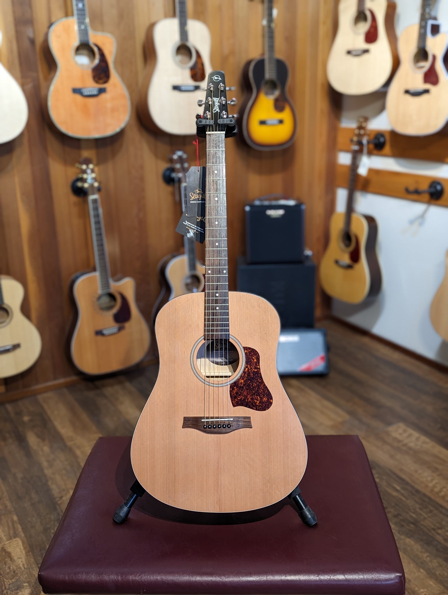Seagull Guitars S6 Cedar Original Slim Acoustic Guitar w/Gig Bag (Store Demo)