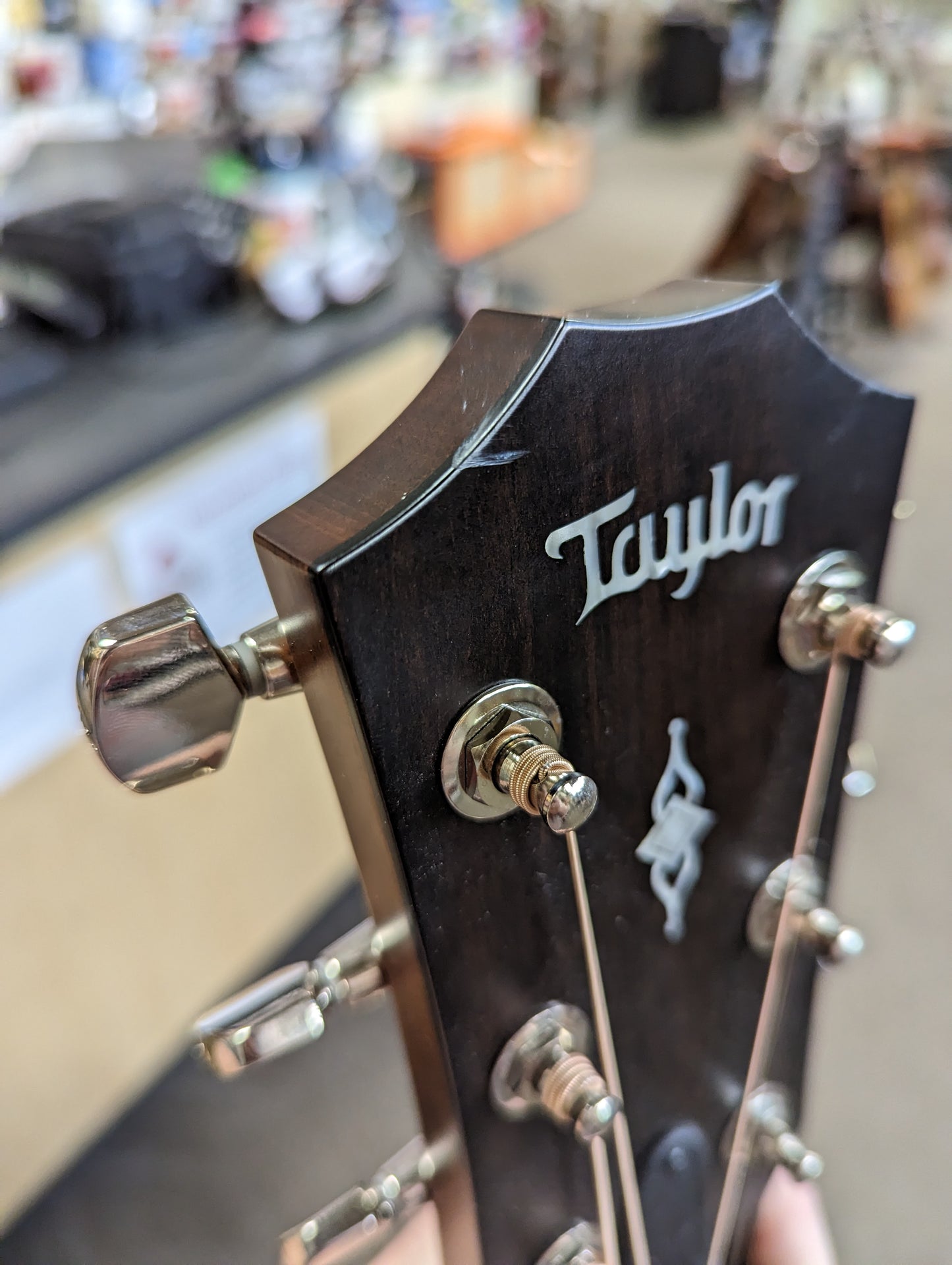 Taylor 314CE Acoustic Guitar w/Case (2020)