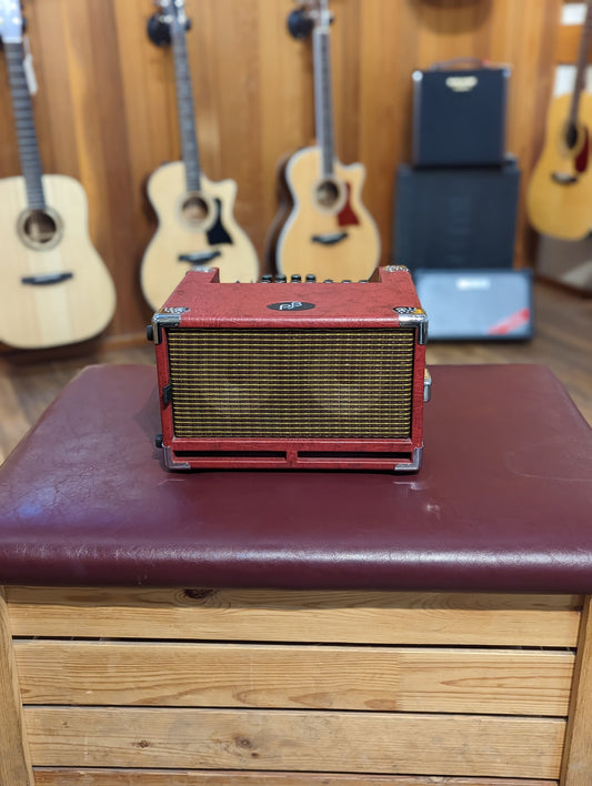 Phil Jones BG-100 Bass Cub 100w Combo Amp w/Amp Cover (Used)