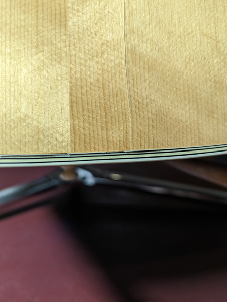 Takamine F-360S (1978)