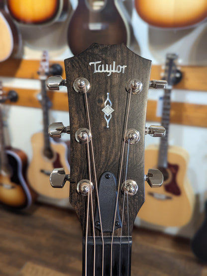 Taylor 314ce w/V-Class Bracing and Original Case (2021)
