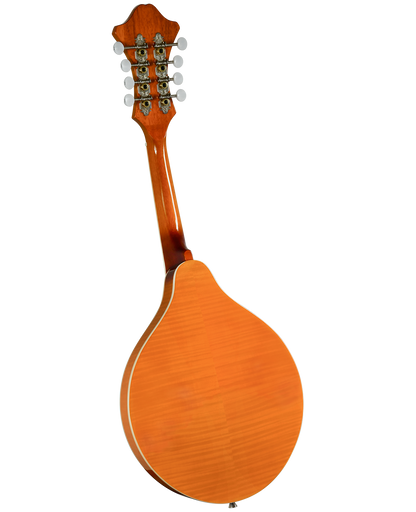 Rover RM-70S Standard Student Solid Top A-Model Mandolin – Translucent Amber