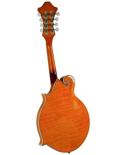 Rover RM-75 Deluxe Student F-Model Mandolin – Translucent Amber