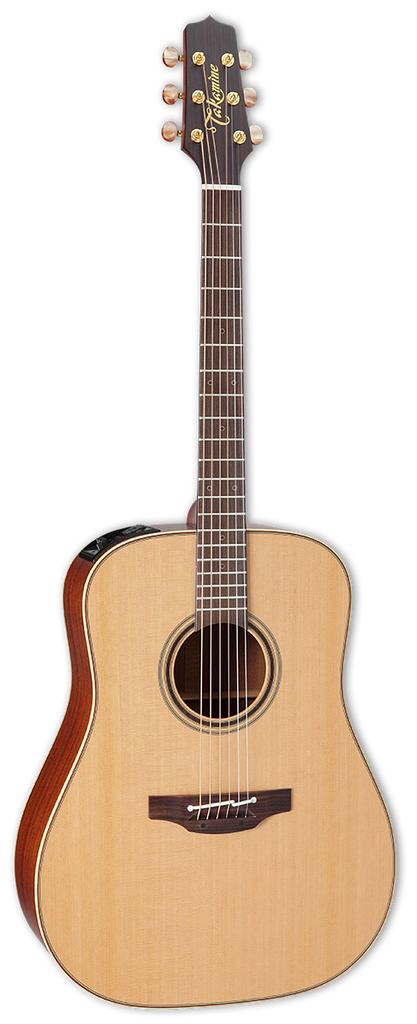 Takamine P3D Acoustic/Electric Guitar
