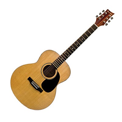 Beaver Creek Folk Size Acoustic Guitar w/Gig Bag