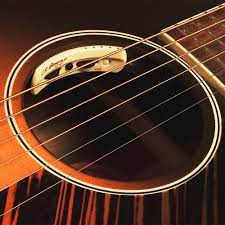 L.R. Baggs Anthem Acoustic Guitar Pickup & Microphone