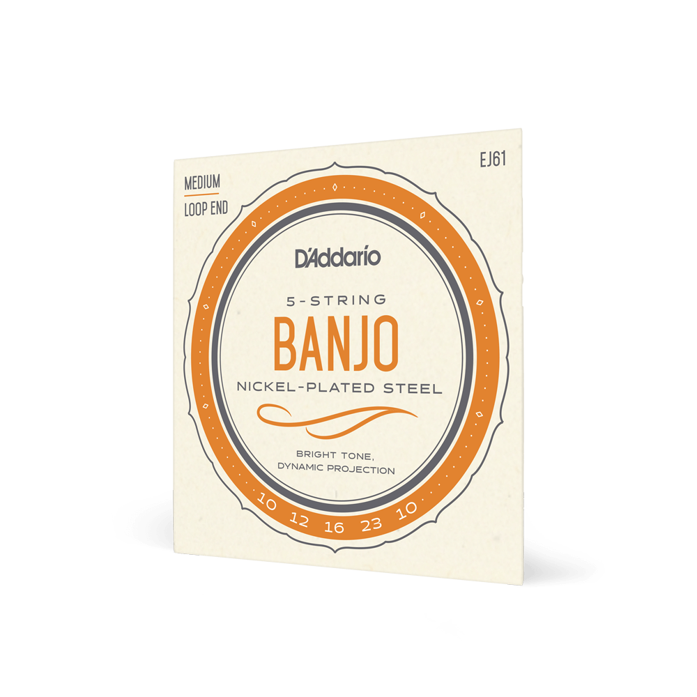 D'addario 5-String Banjo Loop End Strings