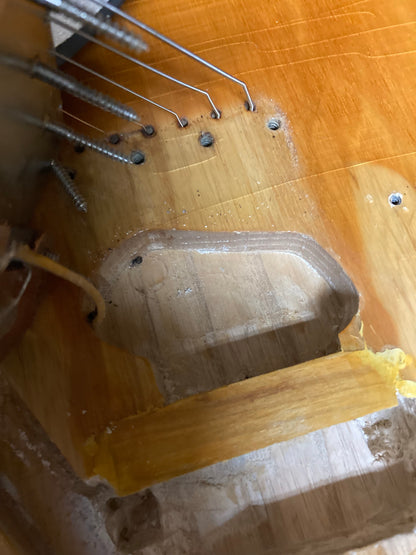 Fender Telecaster Custom (1975)