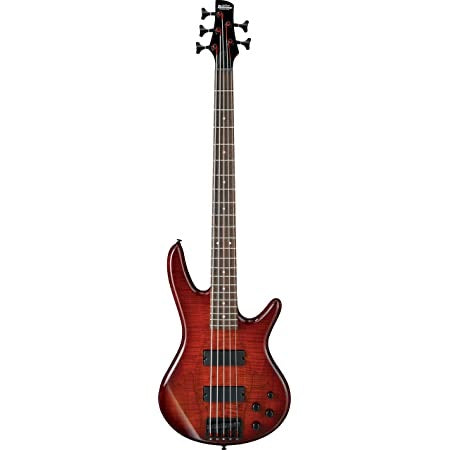 Ibanez GSR205SM 5 String Bass Guitar - Charcoal Brown Burst