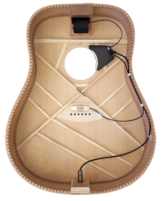 L.R. Baggs Anthem Acoustic Guitar Pickup & Microphone