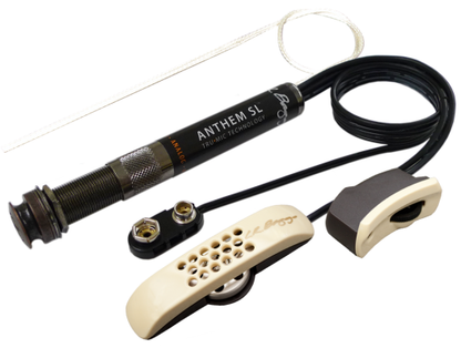 L.R. Baggs Anthem SL Acoustic Guitar Pickup & Microphone
